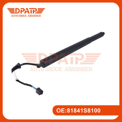Strut di portello di sollevamento 81841S8100 81830S8100 per Hyundai Palisade