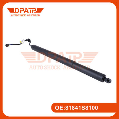 Strut di portello di sollevamento 81841S8100 81830S8100 per Hyundai Palisade