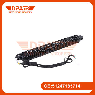 OE Standard 51247185713 51247185714 Strut motorizzato del portello dell'ascensore per BMW F02