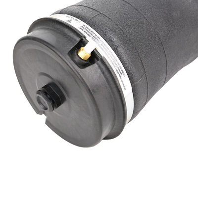 Sosposizione a aria molla per Land Rover Vogue L322 RKB500082 RKB500080 RKB000151 Posteriore sinistra e destra